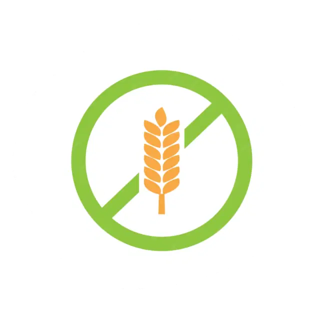 grain free recipe