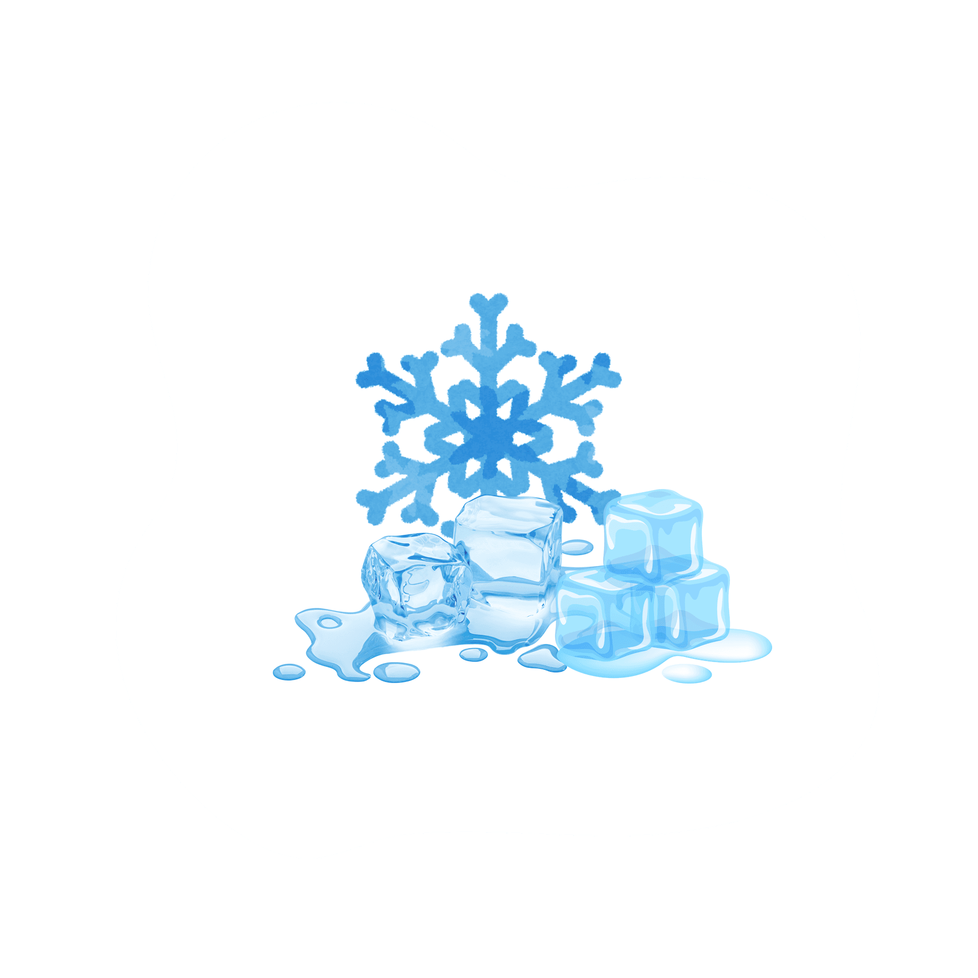 Snowflake representing gently freeze-dried dog food