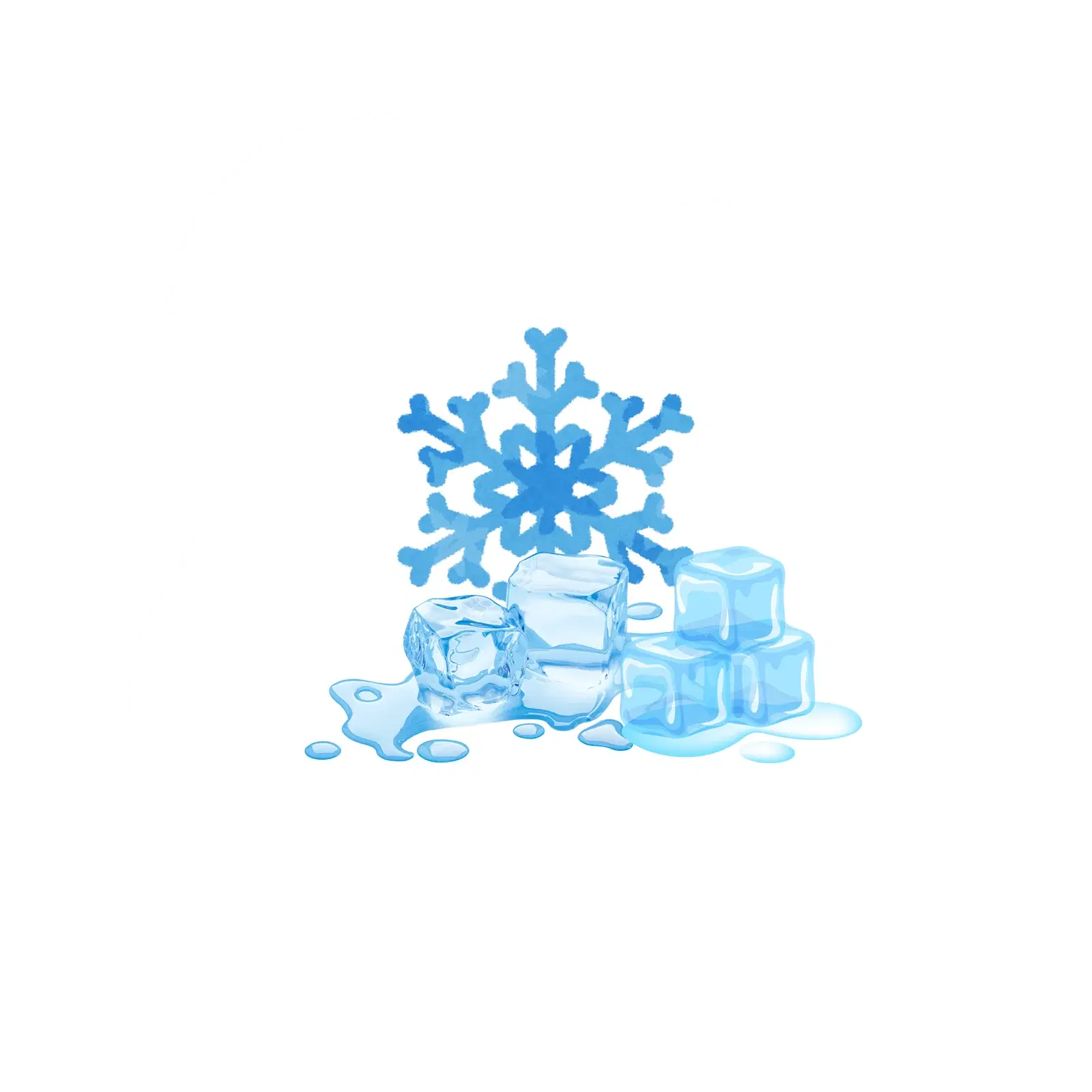 Snowflake representing gently freeze-dried dog food