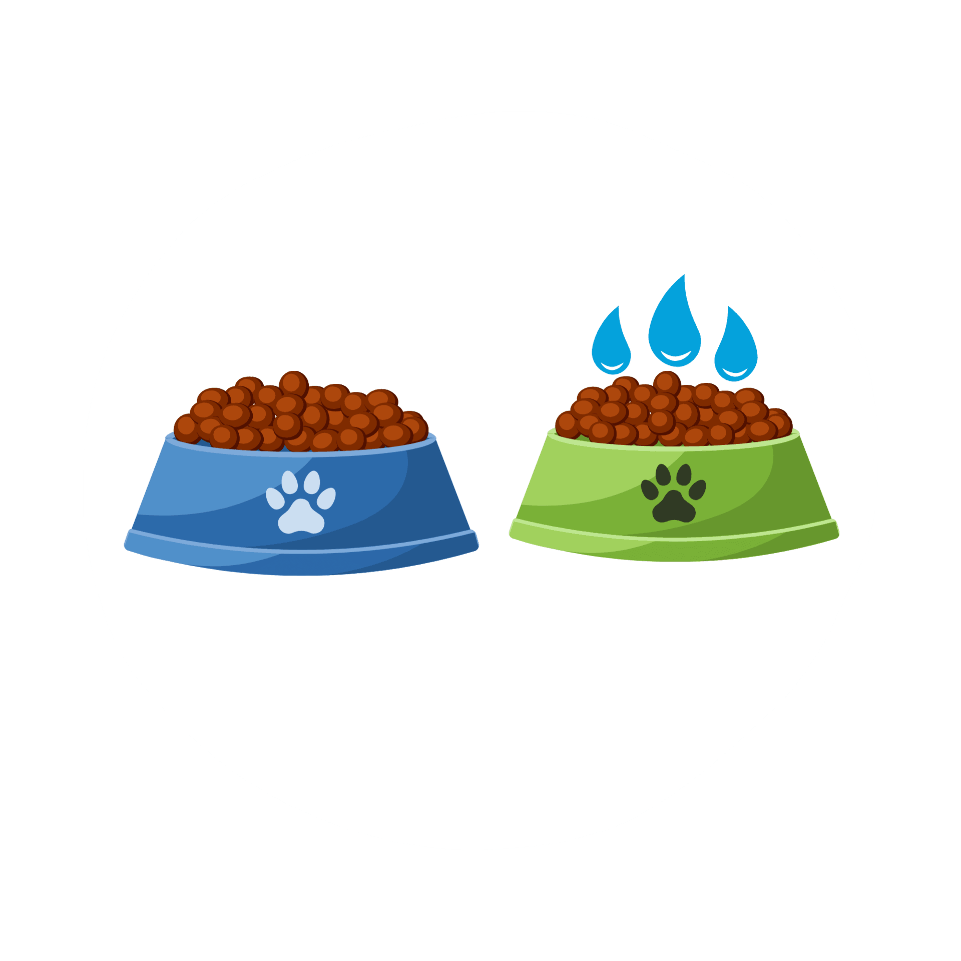 Water droplets representing rehydrated freeze-dried dog food
