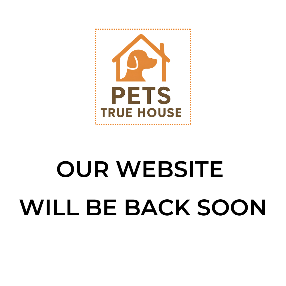 Our website will be back soon